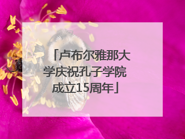 卢布尔雅那大学庆祝孔子学院成立15周年